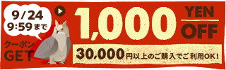1,000円OFFクーポン