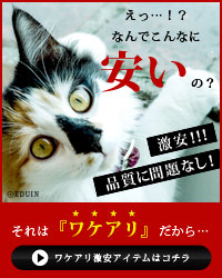 訳あり激安商品